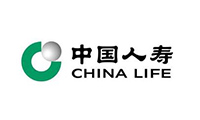 中国人寿保险
